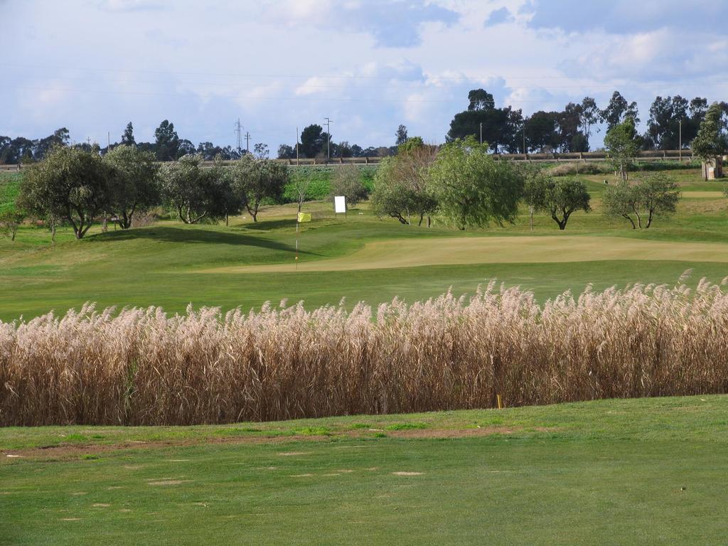 Golf Club Metaponto Guest House Exterior photo